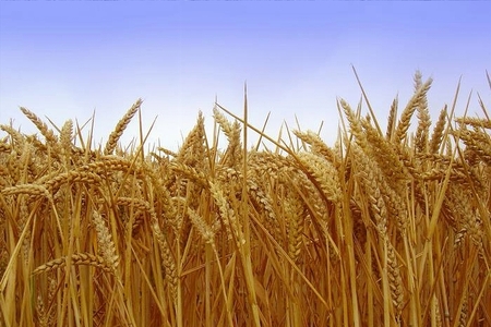 Simbolična fotografija